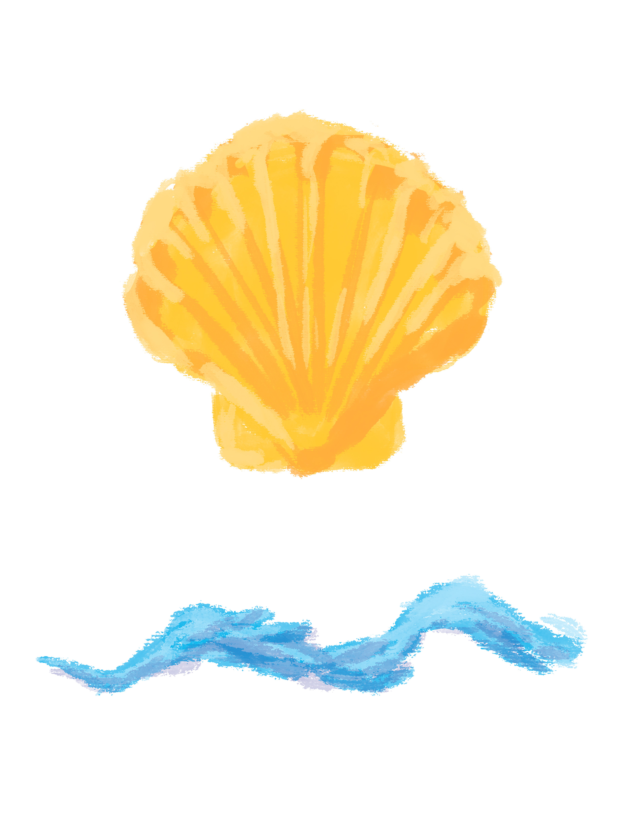 scallop shell and water